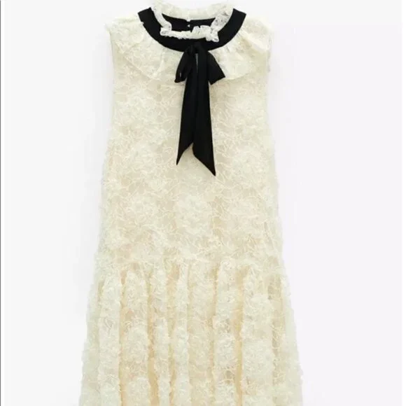 chinese dress ladies Zara Rose Crochet Maxi Dress main image 1